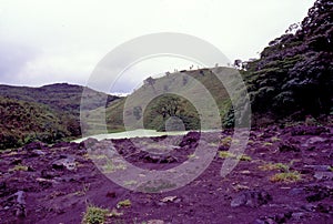 Arenal Volcano Lava Field 8356