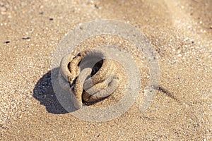 Arenicole sea twist on the sand of a beach