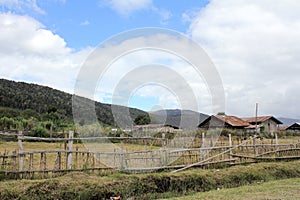 The Arfak Mountains, Papua