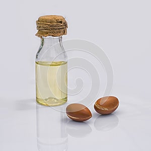 Argan fruit (Argania spinosa), nuts and oil on white background