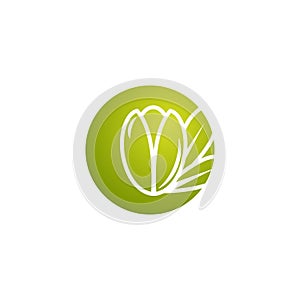 Argan nut in green circle icon. beauty and cosmetics oil. Cosmetic ingredient carotene, carotin. photo
