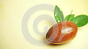 Argan nut with green leaves motion on wooden background.