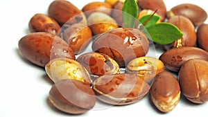 Argan nuts with green leaves motion on an isolated white background.