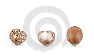 Argan nuts in a row on a white background.