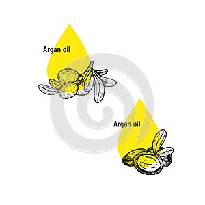 Argan oil icon set. Hand drawn sketch. Extract of plant. Vector illustration
