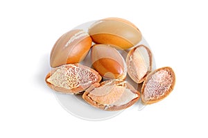 Argan seed Isolated on white background.