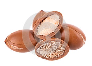 Argan seeds isolated on white background. Natural argan nuts from Morocco. Argania. Close up.