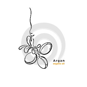 Argan tree label. Vector nut. Sketch illustration