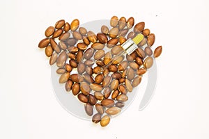 Argan tree nuts Argania spinosa on a white background laid out in the form of a heart with