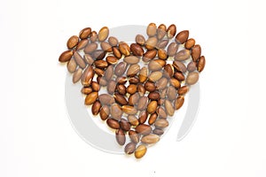 Argan tree nuts Argania spinosa on a white background laid out in the form of a heart. For the production of argan oil