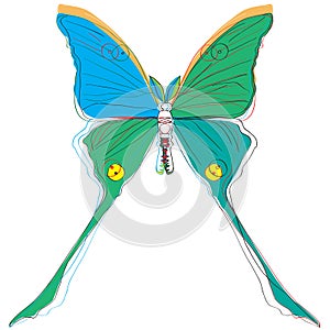 Argema mittrei butterfly interpretation drawing