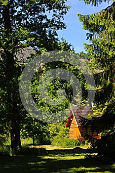 Argentina alpine type wooden house in a forest with large trees in summer