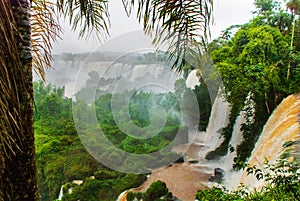 Argentina, America, Waterfalls, Iguazu Falls: Beautiful landscape overlooking the world famous waterfall, the seventh wonder of