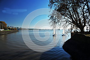 Argentina Buenos Aires city and port and Darcena with yachts and sailboats Rio de la Plata