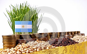 Argentina flag waving with stack of money coins and piles of seeds