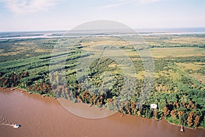 argentina,island tigre,el tigre,river,air viux,tree,parana river,grass,green