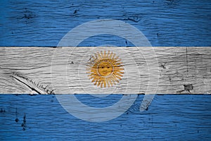 Argentina national flag painted old oak wood