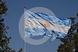 Argentina national flag in wind between trees