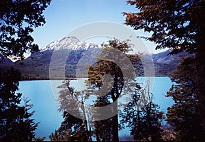 Argentina province of Neuquen Bariloche Lake Nahuel Huapi in summer and pine trees