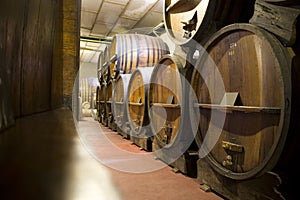 Argentina Wine Cellar