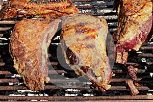 Argentine barbecue photo