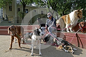 Argentine dog sitter in the city Buenos Aires