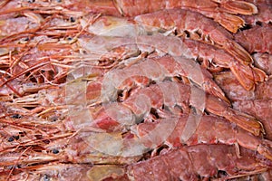 Argentine langoustines frozen in large quantities on a white background top view