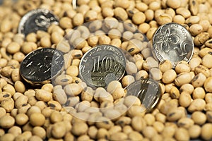 Argentine pesos banknotes and coins and soy beans,