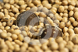 Argentine pesos banknotes and coins and soy beans,