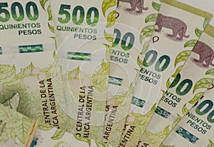 Argentine pesos  close up view  fan banknotes