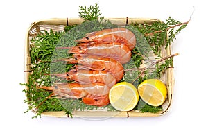 Argentine red shrimp