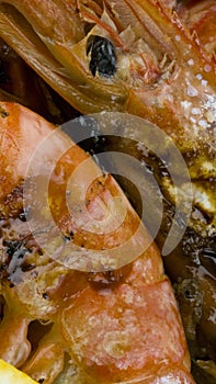 Argentinian prawns bio