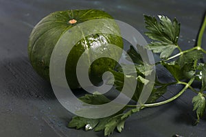 Argentinian`s pumpkin and parsley on a table