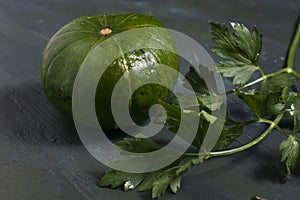 Argentinian`s pumpkin and parsley on a table photo