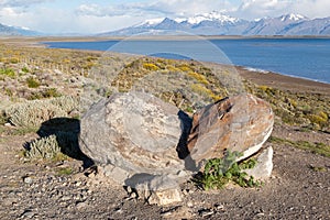 Argentino Lake