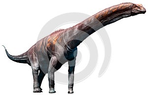 Argentinosaurus