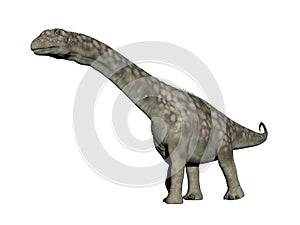 Argentinosaurus dinosaur - 3D render