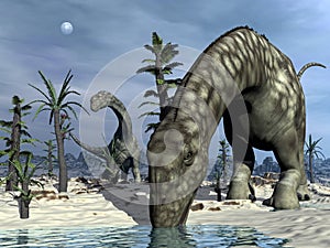 Argentinosaurus dinosaur drinking - 3D render