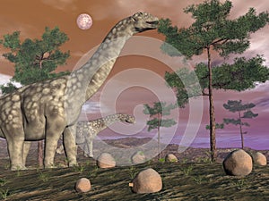 Argentinosaurus dinosaurs - 3D render