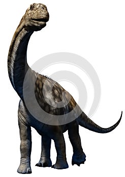 Argentinosaurus juvenile