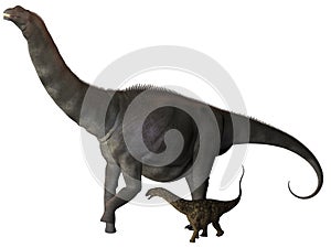 Argentinosaurus and Juvenile Profile