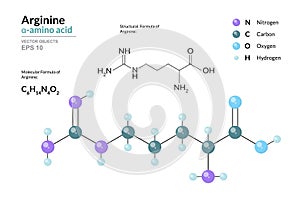 Arginine. Arg C6H14N4O2. ÃÂ±-Amino Acid. Structural Chemical Formula and Molecule 3d Model. Atoms with Color Coding. Vector photo