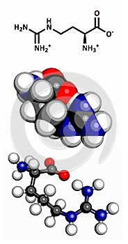 Arginine (Arg, R) amino acid, molecular model