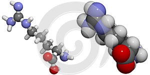 Arginine (Arg, R) Molecule photo