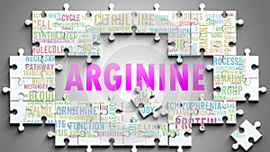 Arginine as a complex subject, related to important topics spreading around as a word cloud