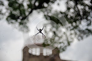 Argiope spider and The  Genbaku Dome on background