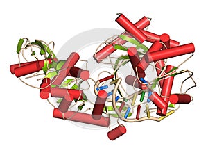 Argonaute-2 (human) enzyme. Part of the RISC complex and plays role in RNA interference (RNAi). 3D illustration