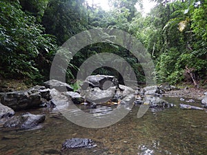 The Argyle River Leading to the Argyle Waterfall in Tobago, West Indies