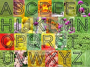 Arial flowers letters