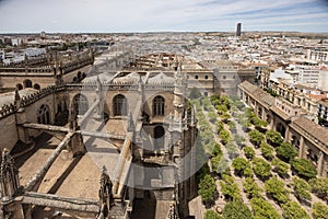 Arial shot of the cathedral Patio de los naranjos and the historical buildings of Seville, Spain photo